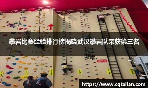 攀岩比赛经验排行榜揭晓武汉攀岩队荣获第三名